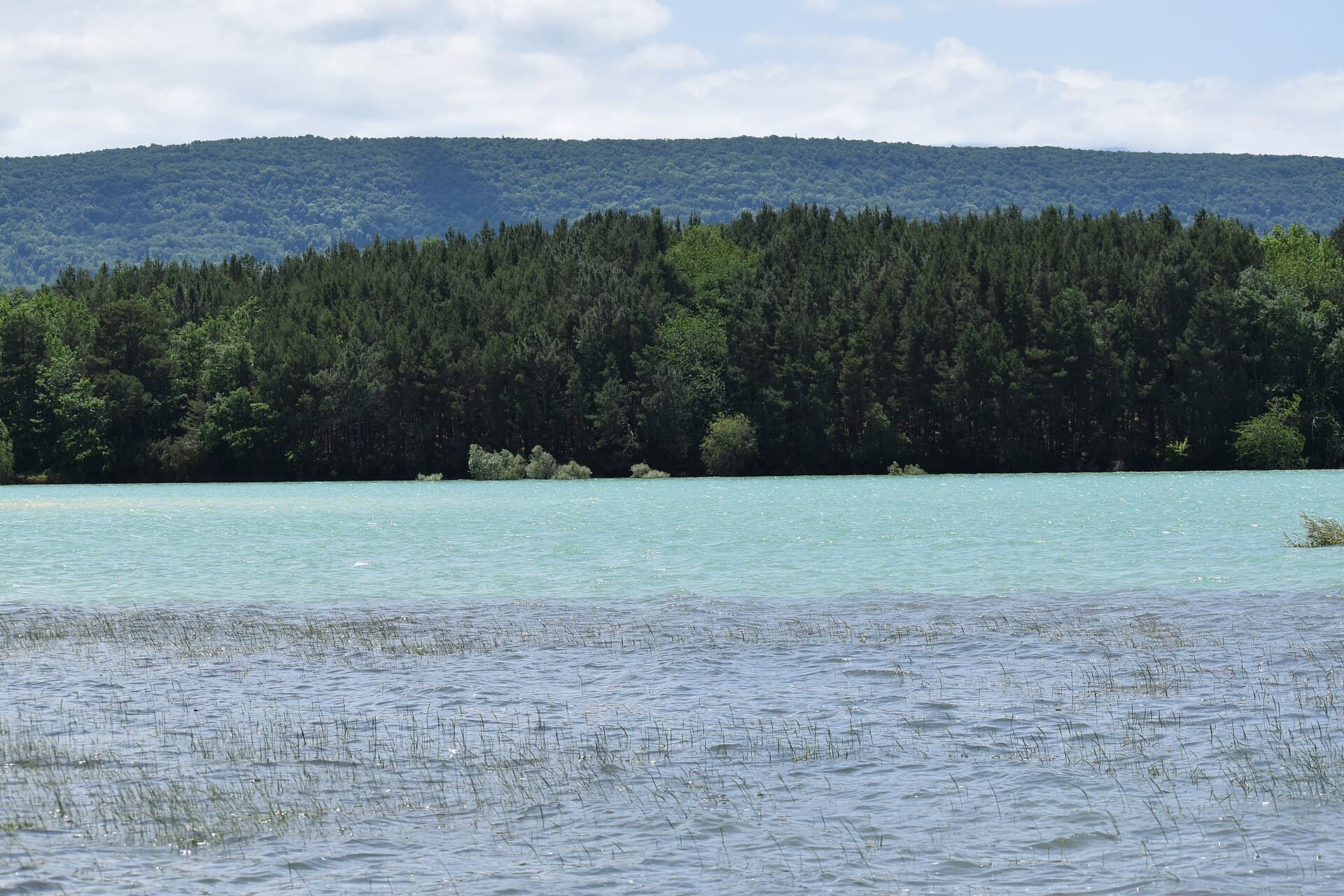 Eaux du lac de Montbel
